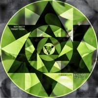 Congaflute - Single - Roy Batty & Franky Trova