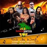 I'll Find a Way - Single - Blakkman, Voicemail, Raine Seville, Mr Peppa, S.sense & Michael Larmond