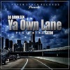 Ya Own Lane (feat. Gator) - Single