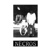 Necros - I Hate My School