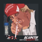 New York Fascist Week artwork