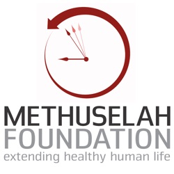 The Methuselah 300 Podcast