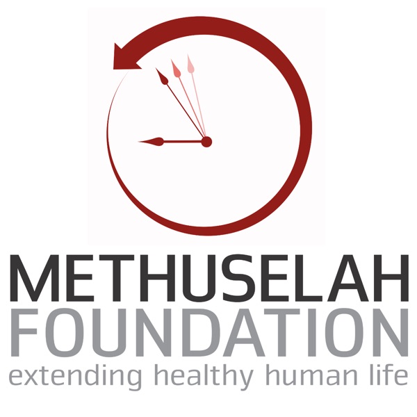 The Methuselah 300 Podcast cover