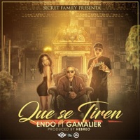 Que Se Tiren (feat. Gamalier) - Single - Endo