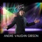 Golden Boy (Mr. Show Business) - Andre Vaughn Gibson lyrics