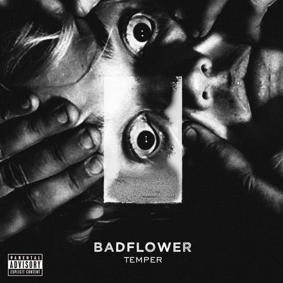 Cover artwork for White Noise