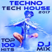 Semitdoog (Techno Tech House 2017 DJ Mix Edit) artwork