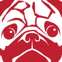 Channel X (2005) - obnoXIuz