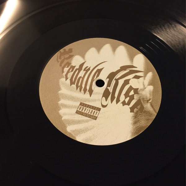 Light Through a Birds Wing - EP