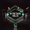 In the Dark, Vol. 15