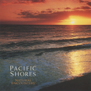 Natural Encounters: Pacific Shores - WordHarmonic