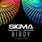 Find Me (feat. Birdy) - Sigma lyrics