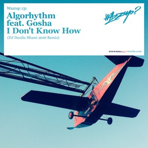 I Don't Know How (feat. Gosha) [DJ Danila Miami 2016 Remix]