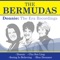 Donnie - The Bermudas lyrics