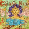 Caladh Nua - Bó Na Leathaidhairce