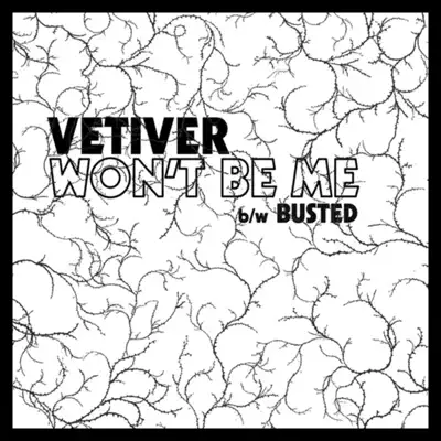 Won't Be Me - Single - Vetiver