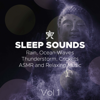 Sleep Sounds - Rain, Ocean Waves, Thunderstorm, Crickets, ASMR and Relaxing Music - Shakuhachi Sakano & Dzen Guru