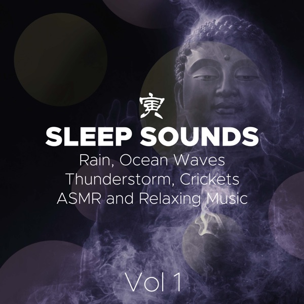 Sleep Sounds - Rain, Ocean Waves, Thunderstorm, Crickets, ASMR and Relaxing Music