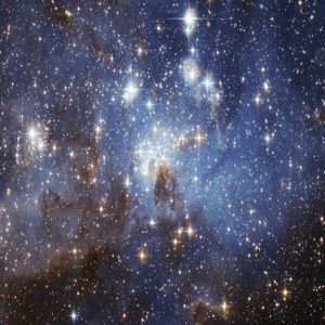 Starbug - Single