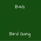 Bird Gang - B4G lyrics