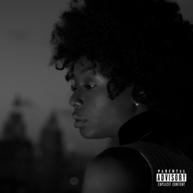 Now or Later Junglepussy