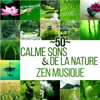 50 Calme sons de la nature & Zen musique - Détente et relaxation avec bruits de la nature et New Age, Bonne humeur, Clarifier idées, Se calmer, Se relaxer et tranquilliser (Yoga, Pilates, Qi gong) - Just Relax Music Universe