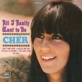 Cher - Needles and Pins