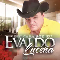 Seu Cara Sou Eu