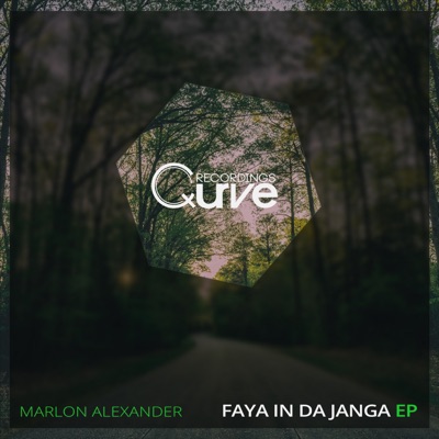 Faya in da Janga - Single