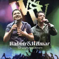 Vai Viver Sua Vida — Walmir Wilmar