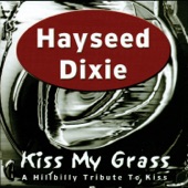 Hayseed Dixie - Love Gun
