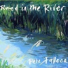 Reed in the River, 2016