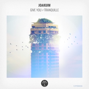 Give You / Tranquille - Single