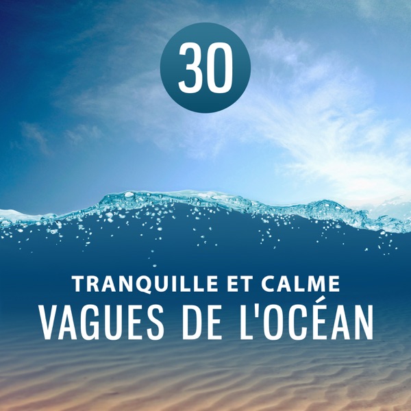 30 Tranquille et calme : vagues de l'océan