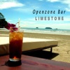 Openzone Bar - The Dining Room