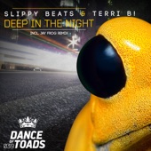 Deep in the Night (Jay Frog Remix) artwork