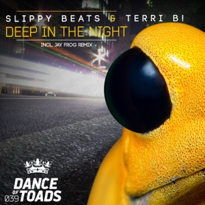 Deep in the Night (Maui's Tropical Beach Remix)