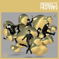 PERFECT HUMAN (m-flo☆Taku Remember 1999 Samba House Remix) - Single - RADIO FISH