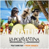 Al Natural (feat. Dane Ray) [From Jamaica] artwork