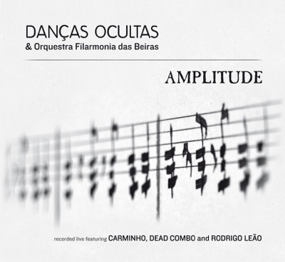 Amplitude