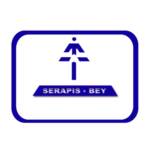 Serapis Bey - Confort y Ascensión - 2010 cover