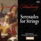 Serenade for Strings, Op. 22, B. 52: III. Scherzo: Vivace artwork