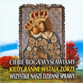 Wszystkie Nasze Dzienne Sprawy artwork