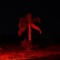 Torana - Zeahorse lyrics