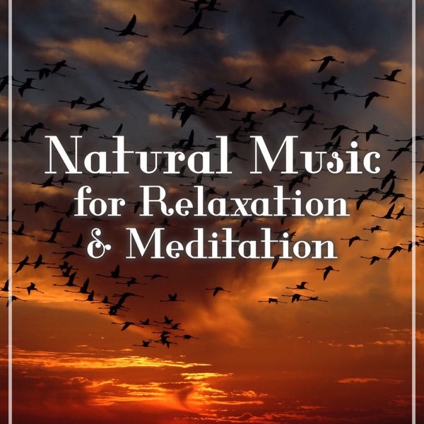 Natural Music for Relaxation & Meditation: Sound of Nature, Waves, Forest & Rain, Deep Concentration, Yoga Class & Home Spa