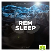 REM Sleep: Asian Meditation Music, Relaxing Songs, Spa Music, Sound Therapy and Natural White Noise artwork