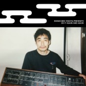 Shinichiro Yokota Presents Do It Again and Again artwork