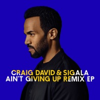 Ain't Giving Up - Craig David & Sigala