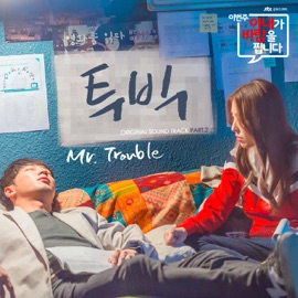 Mr. Trouble 2BIC