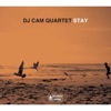 DJ Cam Quartet - Sweetest Pain